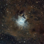 NGC7023 Irisnebel - Gemeinschaftsbelichtung 16,95h mit dem Seestar S50