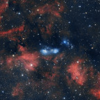 NGC6914, vdB131, vdB132