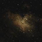 Adler Nebel M16