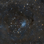 NGC225, vdB4 und LDN1302 (5. Version mit noch mehr Licht) mit dem Seestar S50