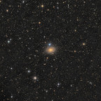 IC 356