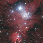 NGC2264 - Fuchspelznebel, Weihnachtsbaumhaufen  und Konusnebel