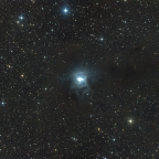 NGC 7023 - Irisnebel